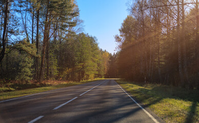 Autumn landscape and sunny evening, orange road and highway, asphalt and roadside.