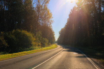 Fototapeta premium Autumn landscape and sunny evening, orange road and highway, asphalt and roadside.