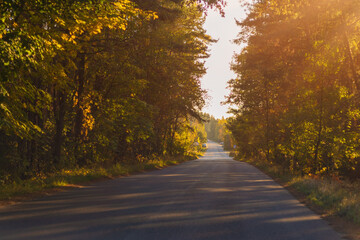 Autumn landscape and sunny evening, orange road and highway, asphalt and roadside.