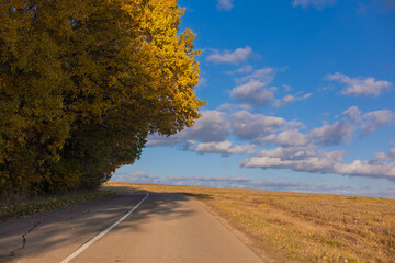 Autumn landscape and sunny evening, orange road and highway, asphalt and roadside.