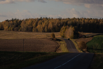 Autumn landscape and sunny evening, orange road and highway, asphalt and roadside.