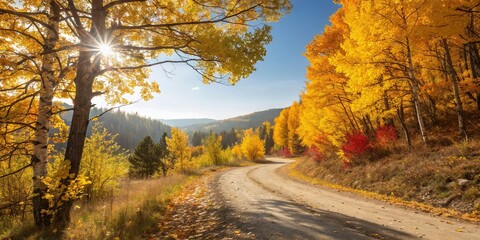 Fototapeta premium Golden Aspen Road Sunlight Through Birch in Autumnal Mountain Landscape