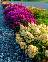 Colorful flowerbeds border road