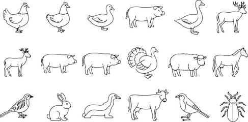 Diverse collection of black and white line art drawings of farm and wild animals