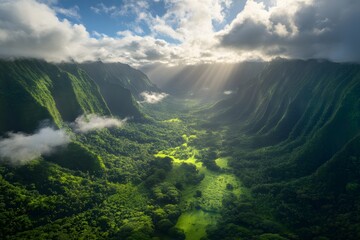 Obraz premium Sunlit Valley: Lush Landscape Panorama