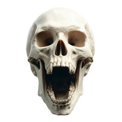 Obraz premium White skull with its mouth open and teeth exposed