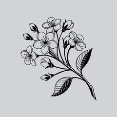 Geranium Delicate Flower Line Sketch Design