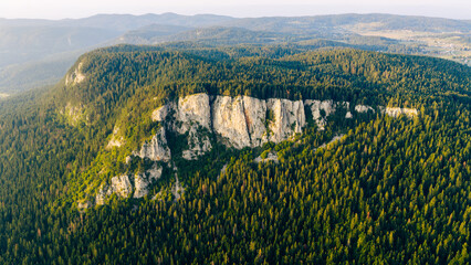 Dense conifer forest wraps around bright cliffs under clear morning sky, forming natural contrast...