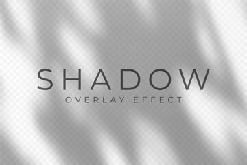 Shadow overlay effect. Transparent soft light and shadows from plant branches, leaves and foliage. Mockup of abstract transparent shadow overlay effect and natural lightning scene. Vector