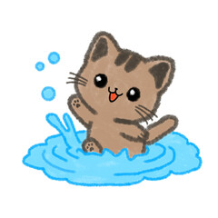 swim cat
