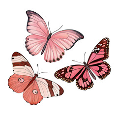 Obraz premium Elegant watercolor illustration of three pink butterflies against a white background
