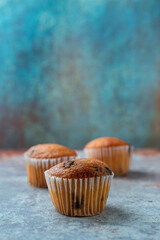 Chocolate chip muffins on a blue rusty textured background with copy space.