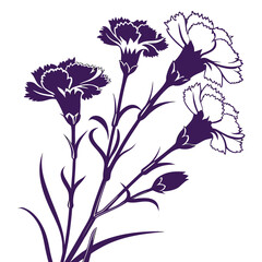 carnations purple and white vector