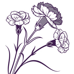 carnations purple and white with leaves
