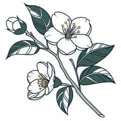 camellia state lower of alabama on white background 