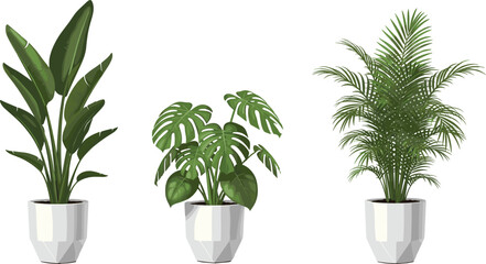 Vector illustration of tropical houseplants including monstera, banana plant, and palm in white ceramic pots for modern interior home decoration. © Ashik Creatives