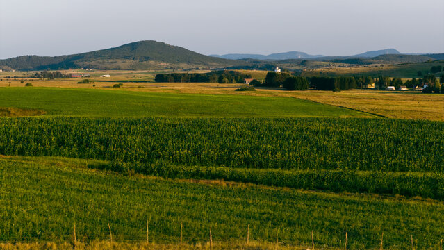 Green cultivated fields stretch toward low hills under soft evening sky