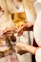 Elegant Woman Holding Wine Glass	