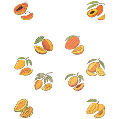 victor illustration of fruit on white background