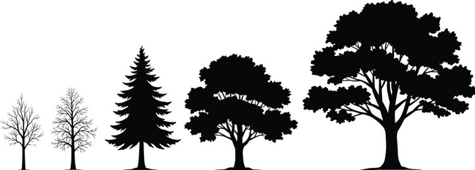 Tree growth stages silhouette, various tree types, nature design, CAD drawing flat vector illustration