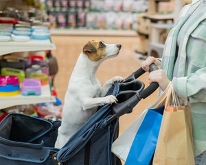 A woman is shopping at a pet store with her Jack Russell Terrier dog in a stroller.