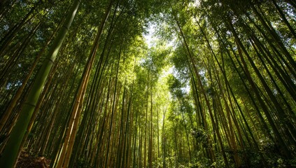 Fototapeta premium Neo-Bamboo A Bio-Luminescent Future