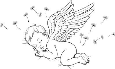 Sleeping baby angel with wings and dandelion seeds, peaceful newborn sketch illustration for nursery, memorial, baby shower, and spiritual themes.