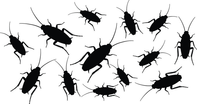 Cockroach silhouette vector set. Black insect icons in different positions, pest control concept, bug infestation illustration for extermination design.
