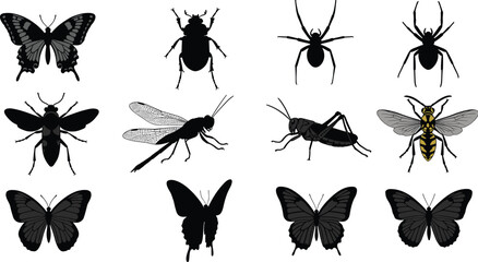Insect silhouette and vector illustration set including butterflies, beetles, spiders, wasp, grasshopper, dragonfly, bug icons for nature and biology.