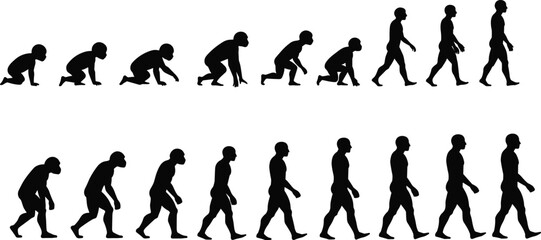 Human evolution silhouette from crawling baby to adult walking, growth stages, development process, life cycle, evolutionary progress illustration in black vector