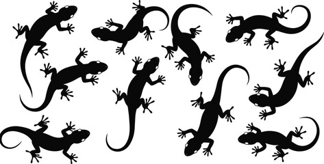 Gecko lizard silhouettes collection, climbing wall reptiles, tropical wildlife vector illustration, black exotic pet design, isolated crawling gecko pose art