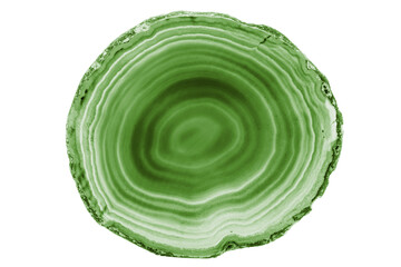 Obraz premium A painted Green agate slice with white veins on a white background highlights nature’s beauty. Its layered structure makes it a stunning natural decor piece.