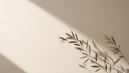 Olive branch casting shadows on a beige wall, creating a minimalist and natural aesthetic with sunlight and texture, evoking a sense of calm and zen