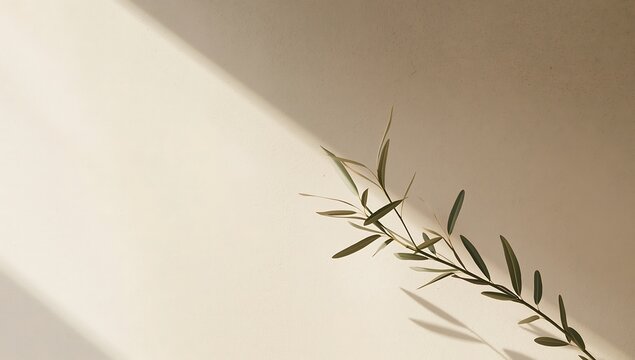A delicate plant branch casts a soft shadow on a textured beige wall, creating a minimalist and natural background with a calming and artistic touch