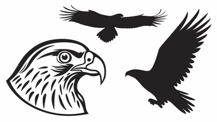 Obraz premium Silhouette images of eagles in various poses including head profile and flying birds vector graphic art