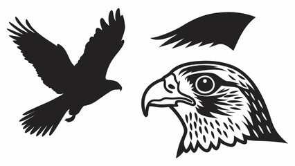 Obraz premium Silhouette images of an eagle in flight, a wing, and a detailed eagle head profile illustration