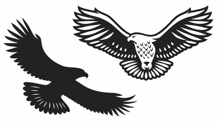 Obraz premium Two eagles soaring in flight one in silhouette and one outlined with detailed feathers and wings spread