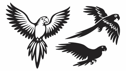 Three black and white parrots in different flying poses with wings spread and detailed feathering design