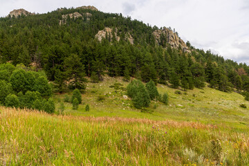 Scenic Landscape in Golden Gate Canyon State Park near Golden, Colorado