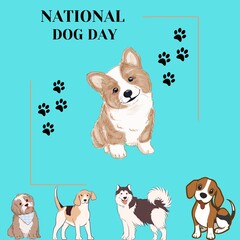 NATIONAL DOG DAY - 1