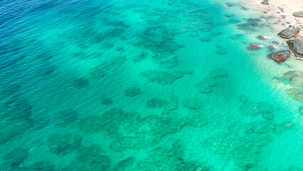 Águas cristalinas de Fernando de Noronha com tons vibrantes de azul e verde, evidenciando vida marinha e beleza paradisíaca