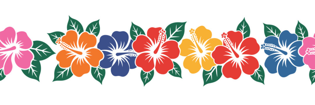 Fototapeta A colorful hibiscus flower border with pink orange blue red and yellow blossoms on a white background