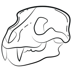 Skull icon, animal heads in line art style drawn with various contours, suitable for gothic or Halloween designs