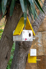 A charming, multicolored birdhouse dangles from a tree branch, adding a playful touch to the natural setting and inviting feathered visitors to nest and sing.