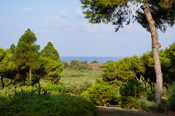 well-kept park with sea view