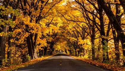Fototapeta premium Vibrant Autumn Road Tunnel with Golden Maple Leaves and Fallen Foliage