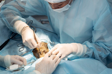 The surgeon is using a scalpel during the operation, with surgical instruments visible marker...