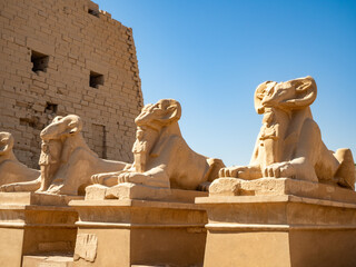 The entrance of Karnak Temple, featuring rows of ram-headed sphinx statues lining the Avenue of Sphinxes, leading to the ancient temple complex