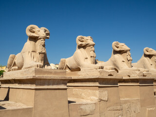 The entrance of Karnak Temple, featuring rows of ram-headed sphinx statues lining the Avenue of Sphinxes, leading to the ancient temple complex