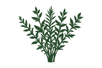 Naklejka premium Green leafy plant with multiple branches against a white background
